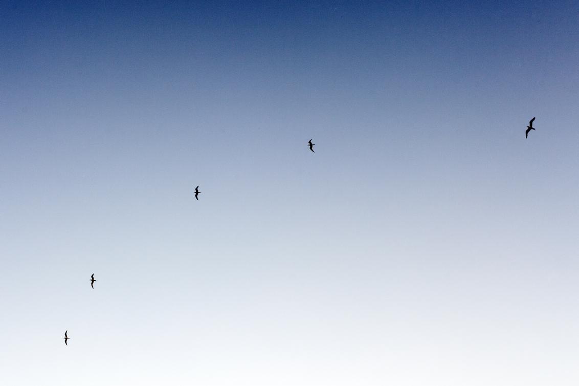 Et sed placeat qui error vero qui praesentium fuga eligendi