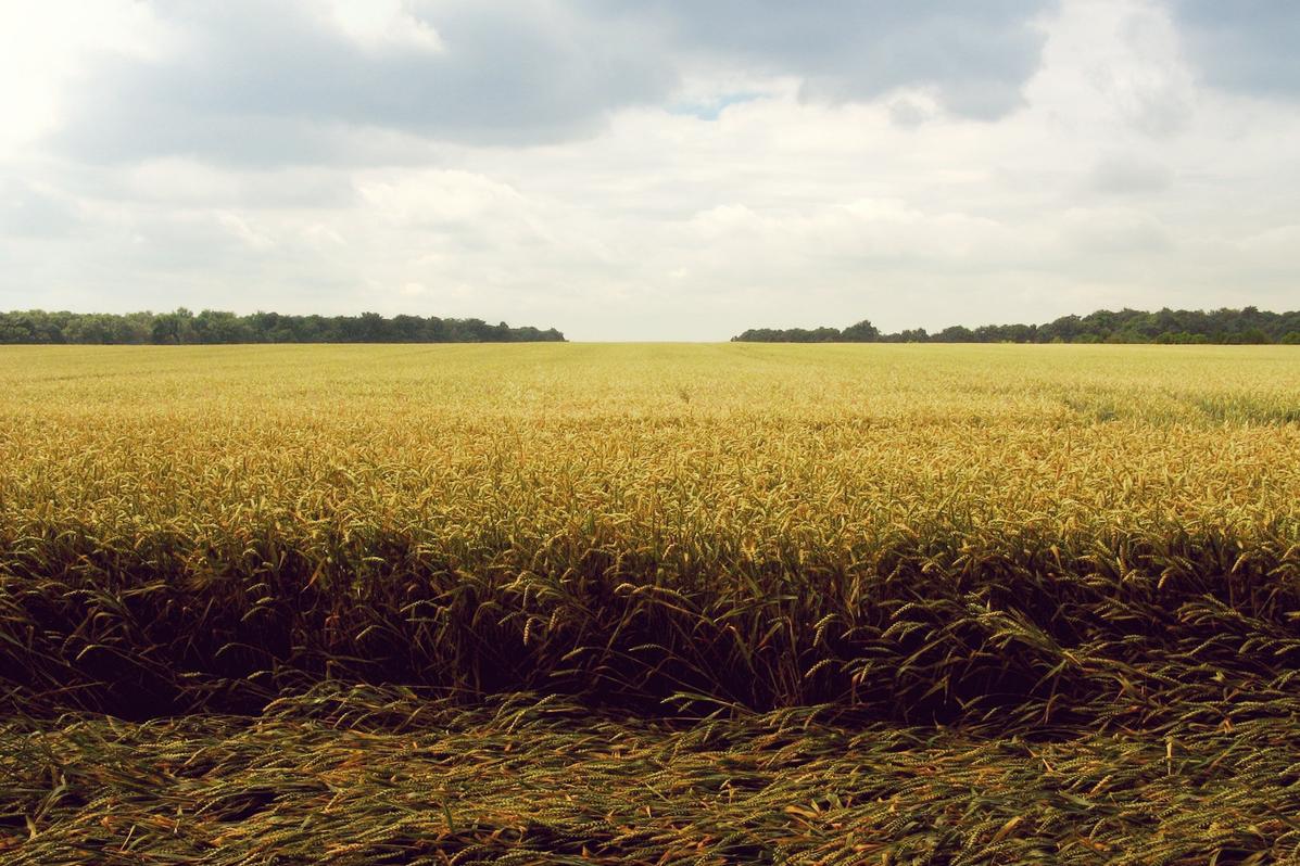 Velit sint magni corporis quis