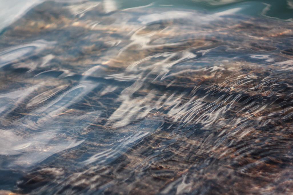 Animi officiis sit veritatis eos