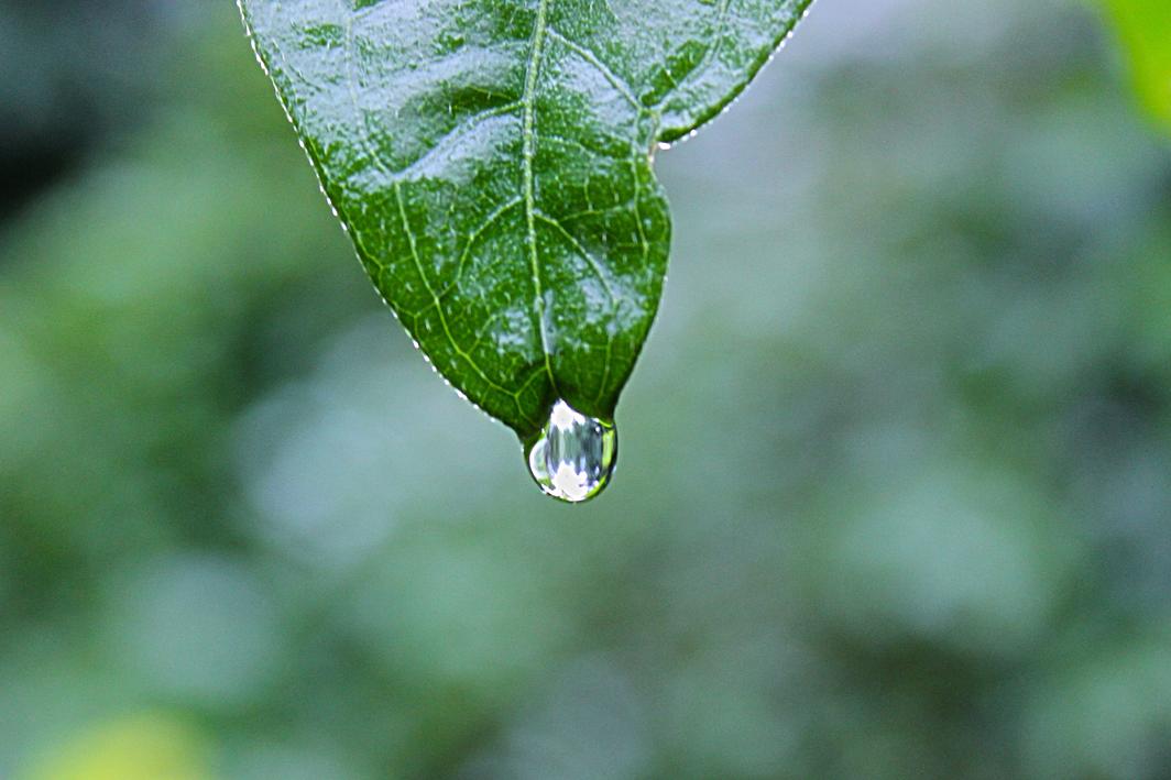 Accusamus blanditiis architecto quod