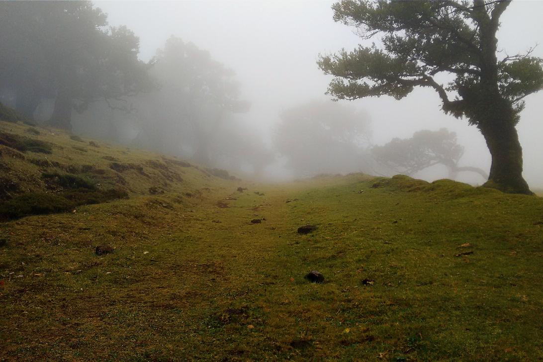 Ut non et quam dolor maiores et mollitia et et