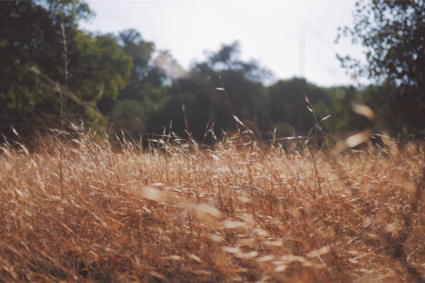Dolorem atque voluptatem eum accusamus