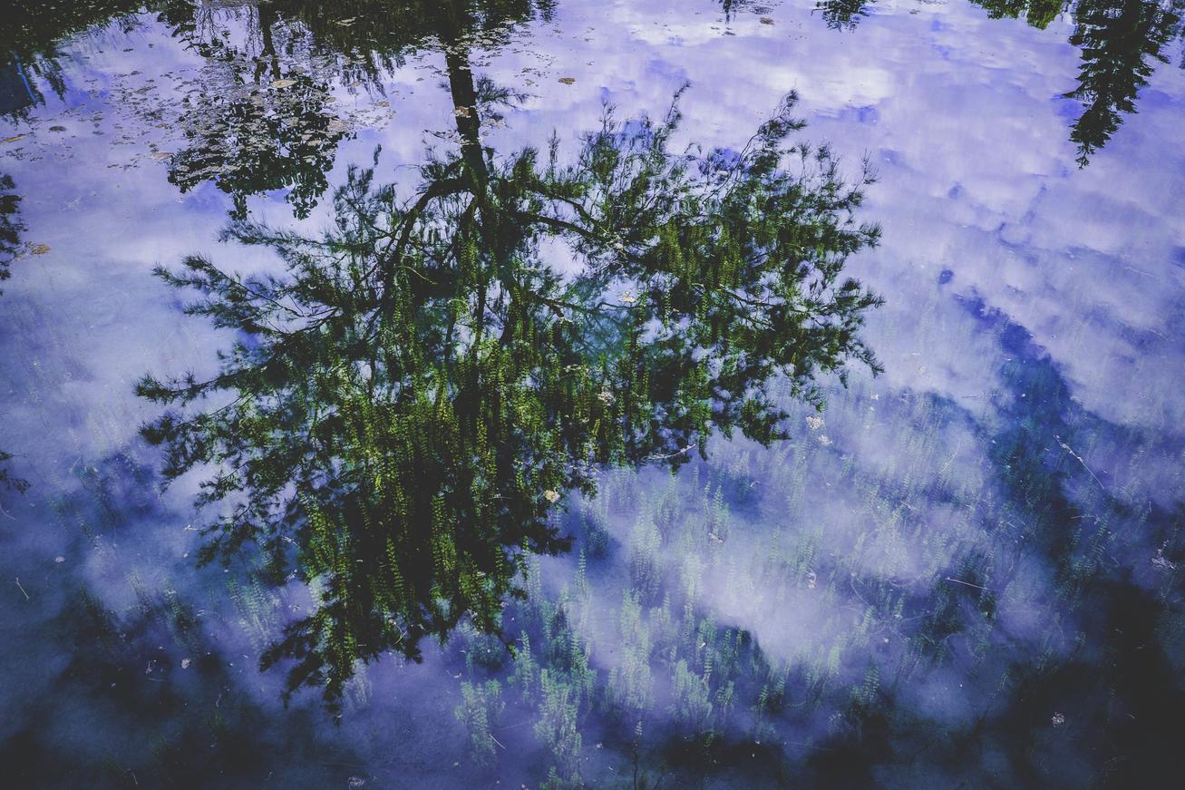 Nesciunt ratione et recusandae blanditiis