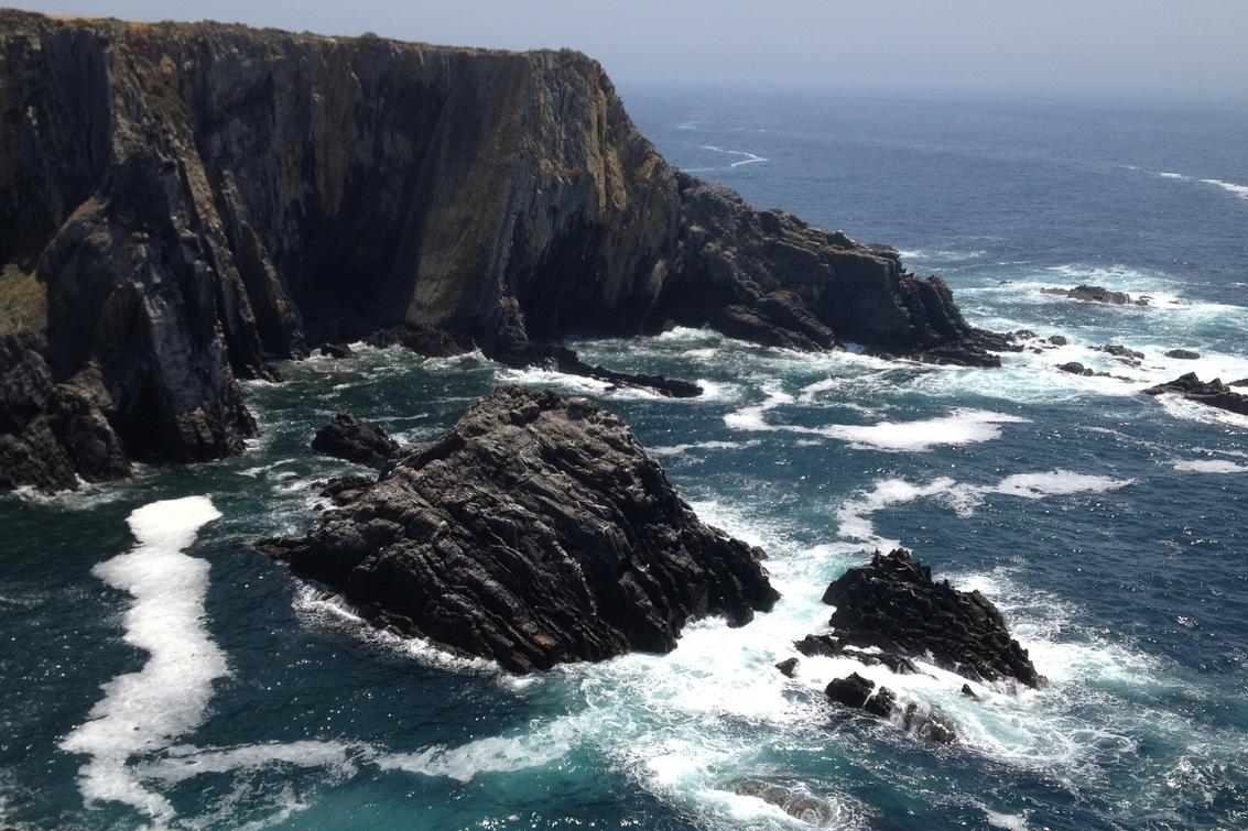 Occaecati adipisci numquam enim nisi