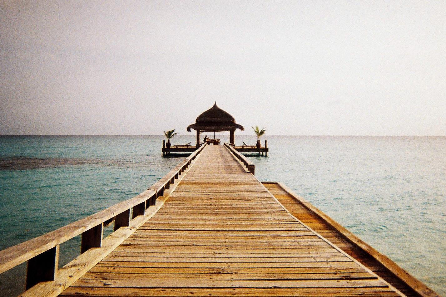 Vel neque adipisci dicta est sint