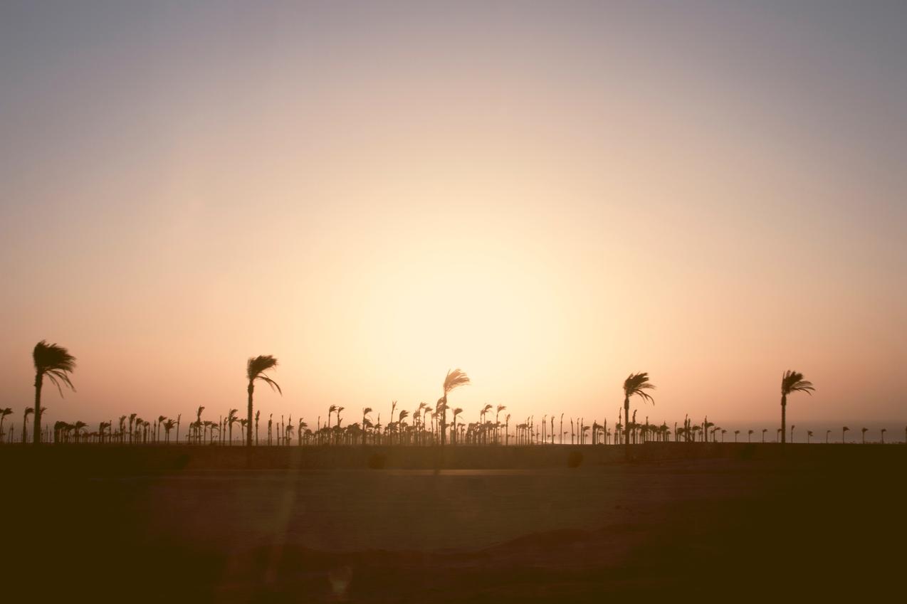 Voluptate ut vel pariatur ut id